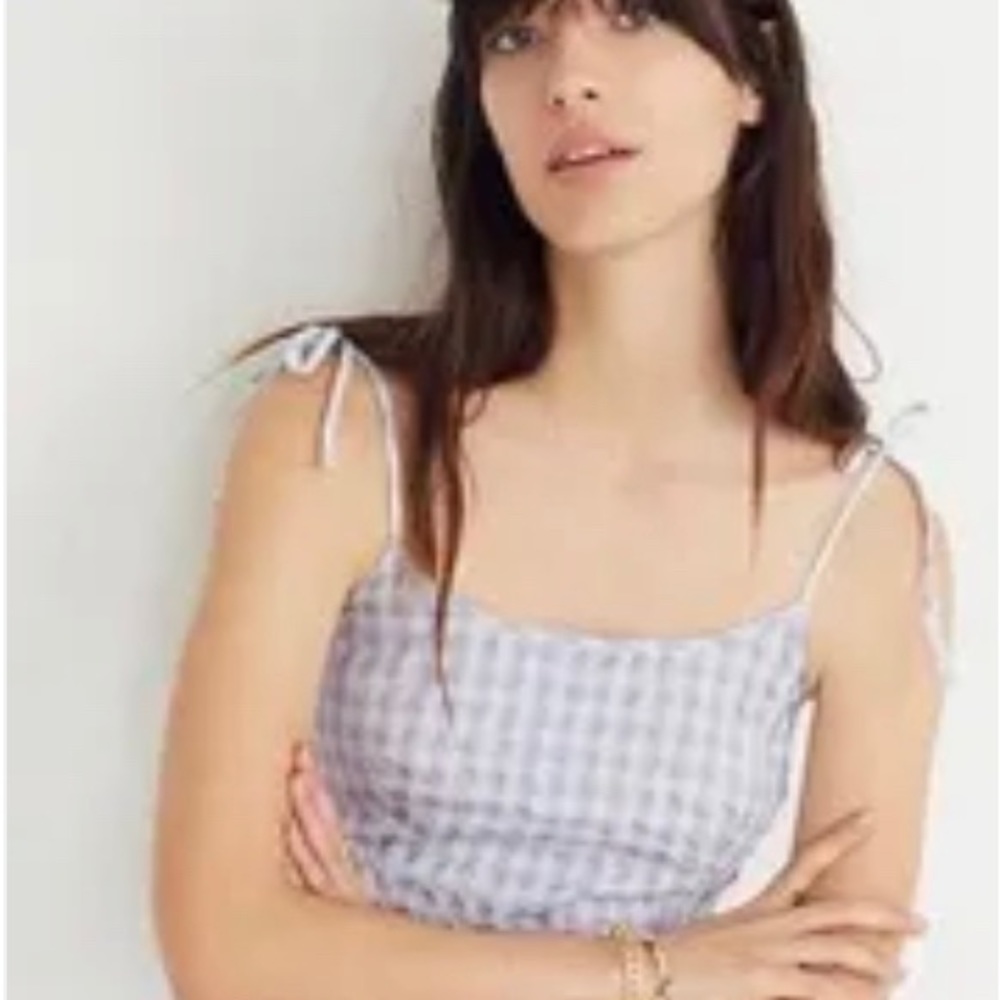 Madewell Blue and white check dress